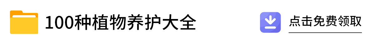栀子花适合什么土壤