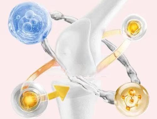 软骨素的作用大揭秘：守护关节健康的秘密武器