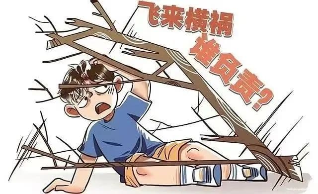 案例选 | 树木被风刮倒砸伤行人，是风之过还是人之祸？