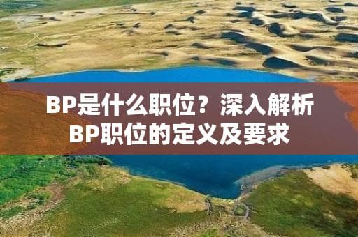BP是什么职位？深入解析BP职位的定义及要求
