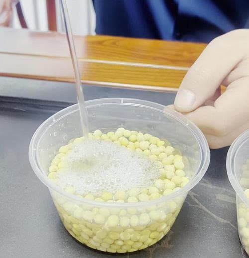 豆子最长可以泡多久