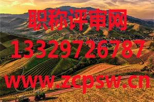 农产品个体销售粮食蔬菜如何申报增值税