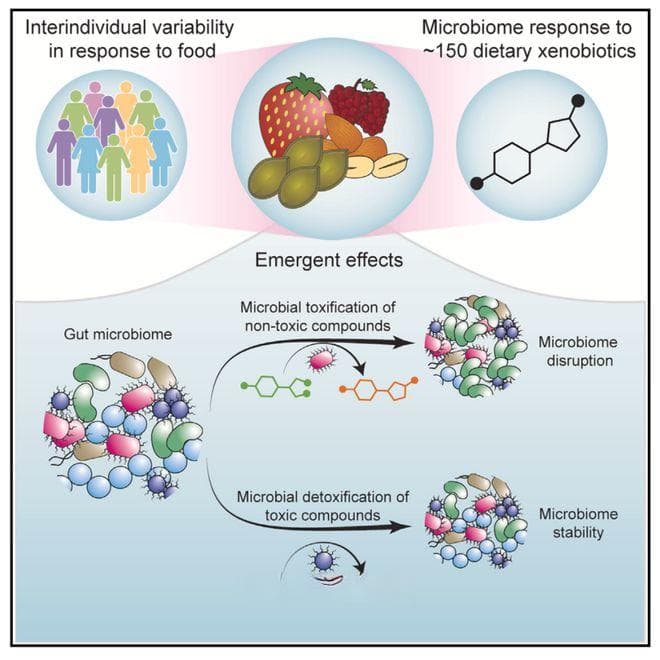 Cell｜食物中的小分子化合物如何影响肠菌、塑造肠道微生物组