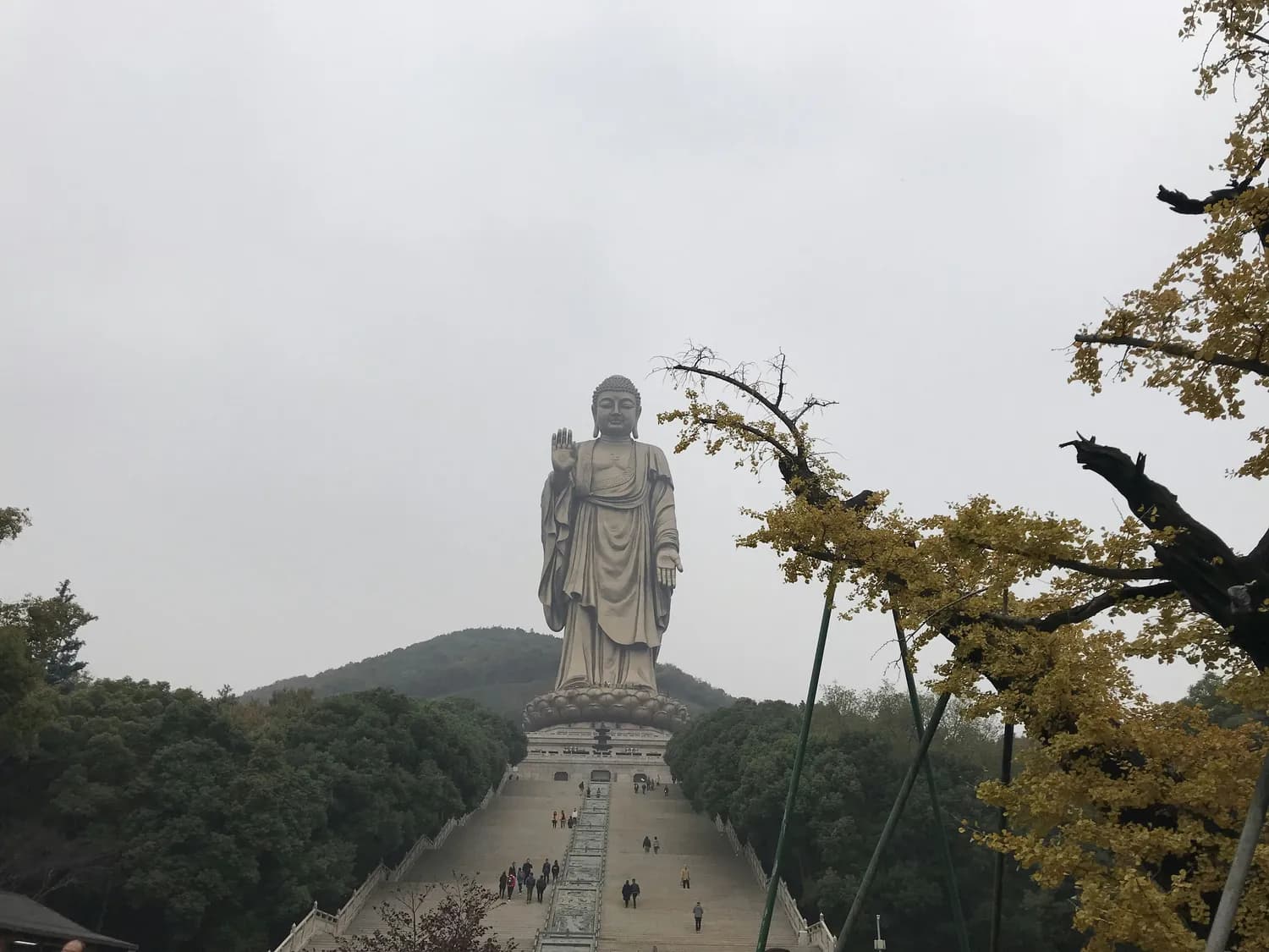 无锡南长街到灵山大佛，自驾游攻略出炉！