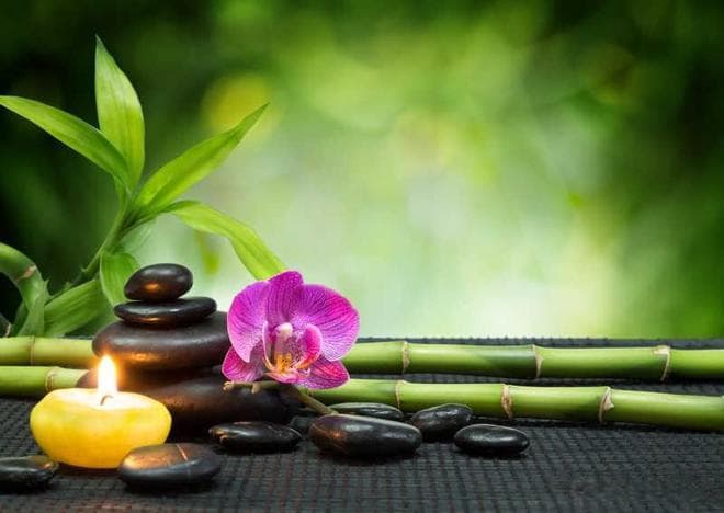 加缪：人最难承受的，不是孤独，而是被逼着迎合他人