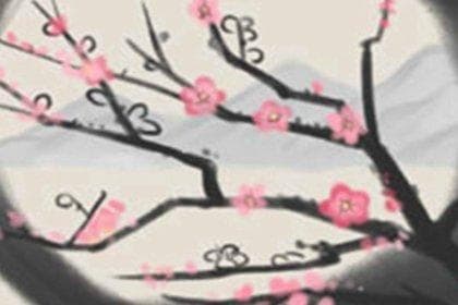 古代猫咪的名字：跨越千年的神秘与神圣