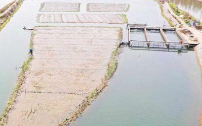 观赏鱼培育基地智能水质监测系统解决方案