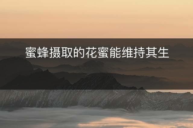 蜜蜂摄取的花蜜能维持其生命多久？