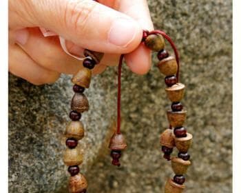 佛教文化中的佛珠种子：种类、特点与用途