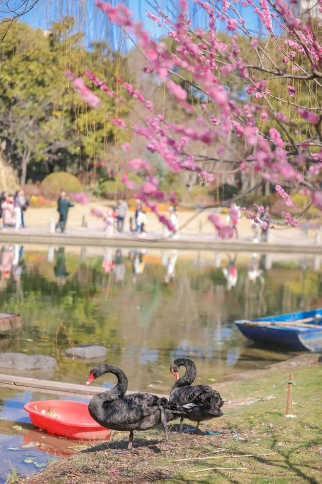 徐家汇公园景点导赏大揭秘