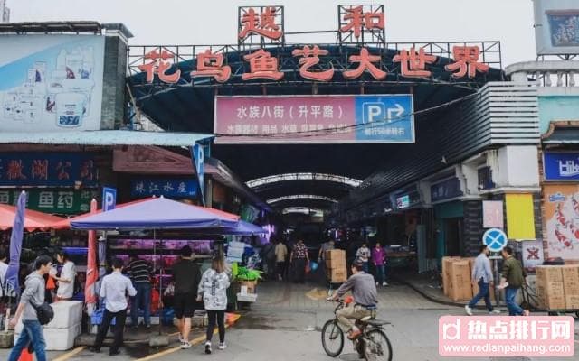 中国十大花鸟市场大盘点：从南到北的花卉鸟市全攻略