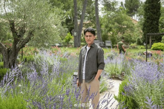 靳东47岁读博士！演艺之路与学术追求的新征程，粉丝表示很钦佩