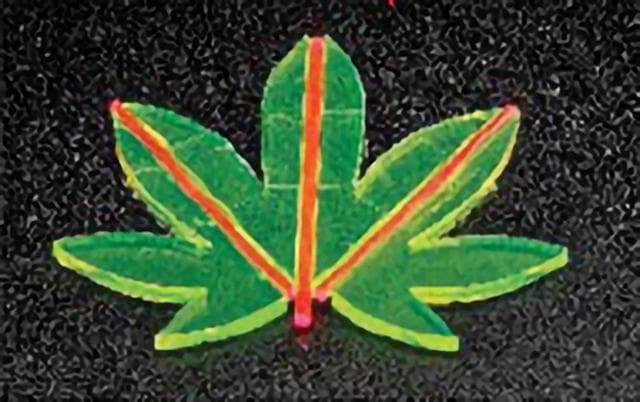 仿生叶状聚光器可大幅提高太阳能光电转换效率