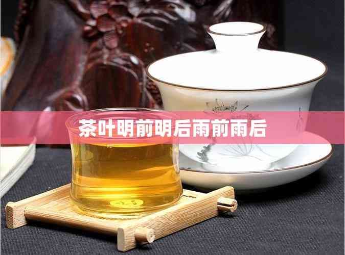 茶叶明前明后雨前雨后