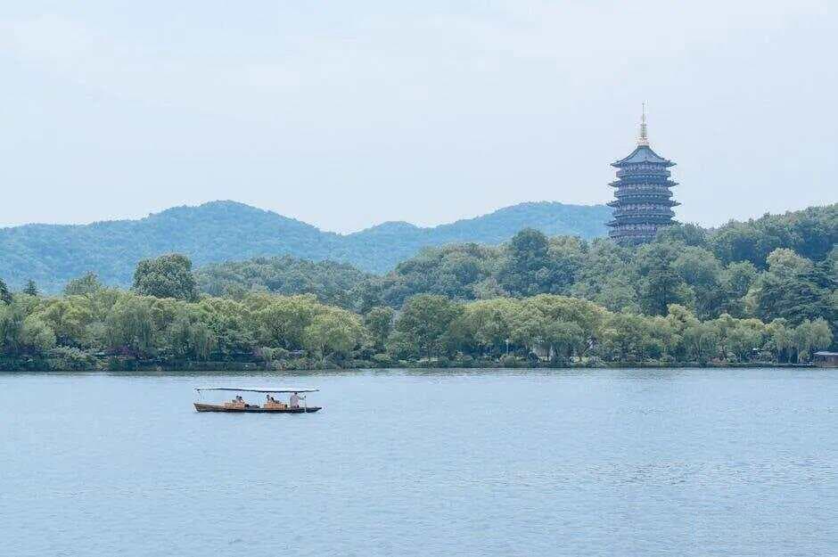 西湖龙井为什么这么贵？