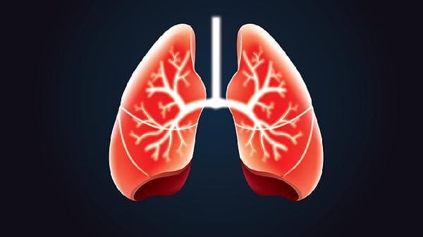 禽流感的传播途径与预防措施