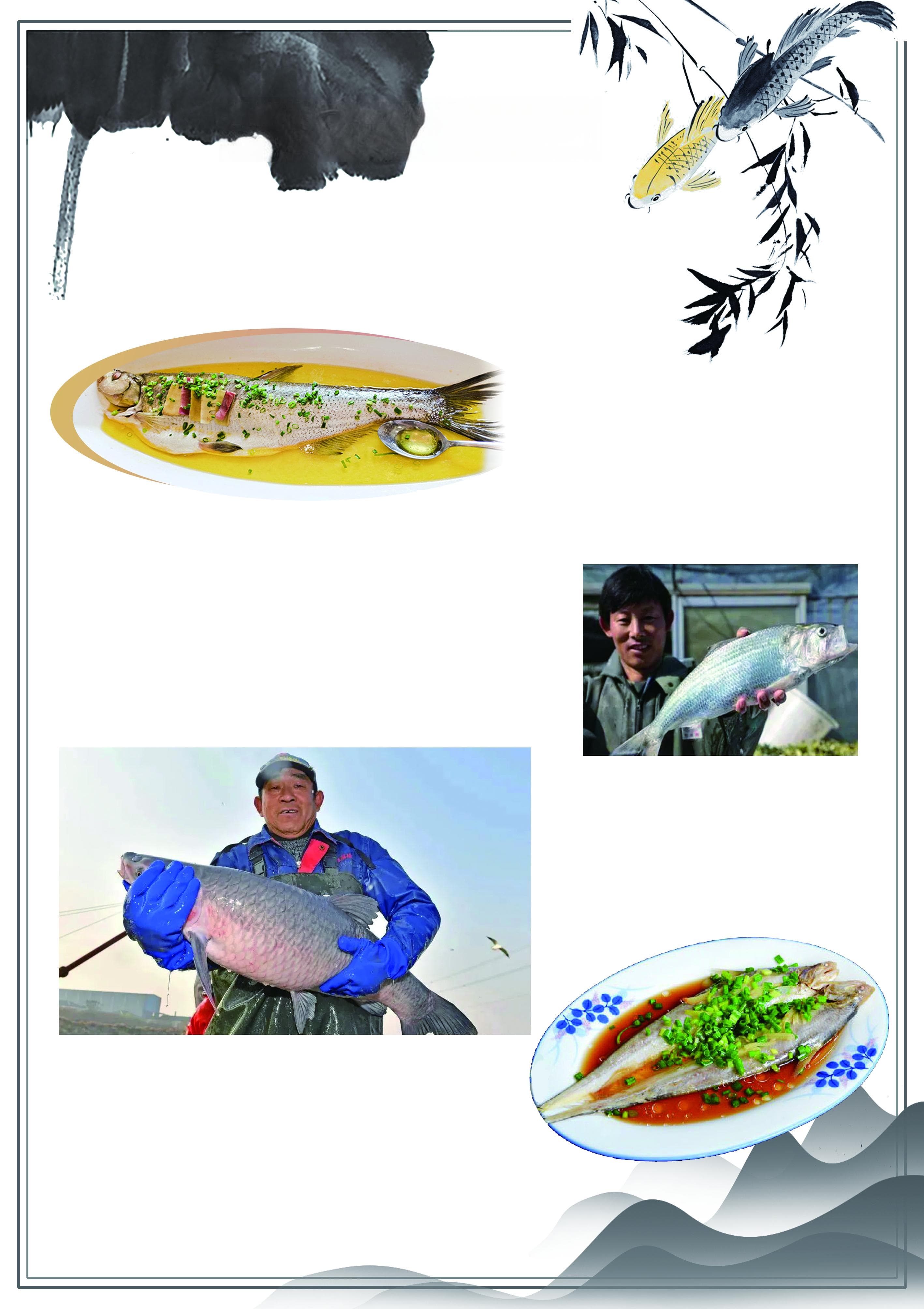 常武地区古早美食：从太湖白鱼到痴虎鱼