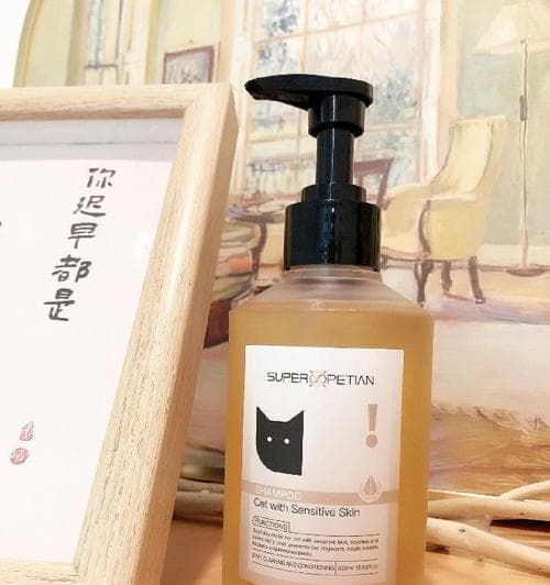 如何选择适合猫咪的沐浴露（关注要素，给宠物猫安全的洗澡体验）