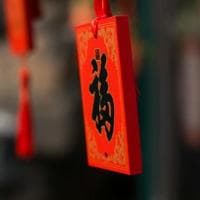 金雕的特点
