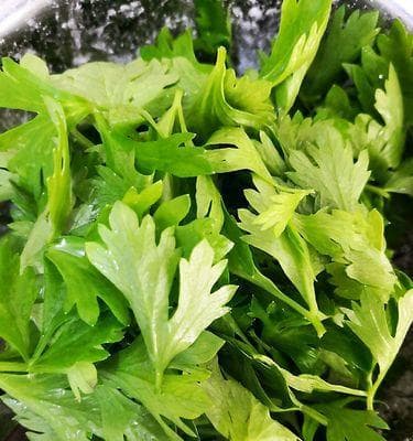 15种芹菜叶创意食谱：让营养不浪费的美味佳肴