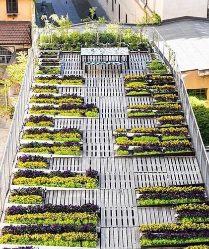 屋顶绿化系统案例展示