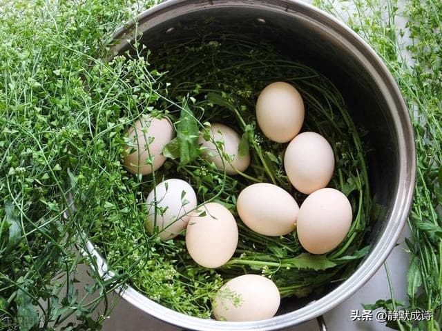 今天三月三，你知道是啥节日吗？按习俗要吃这四样，老传统不要丢