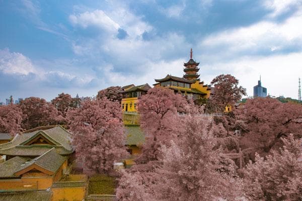 2024南京鸡鸣寺门票多少钱一张