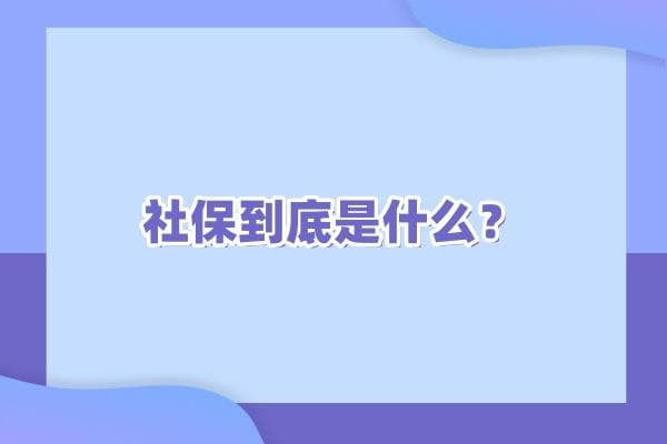 社保是指什么（2024年最新权威解答）