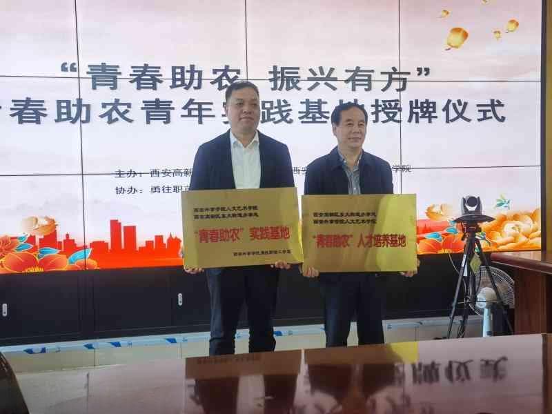 AI赋能装修博主：高效撰写吸睛文案攻略