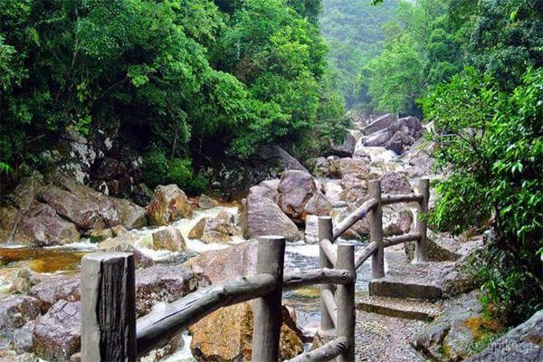 探秘十万大山国家森林公园