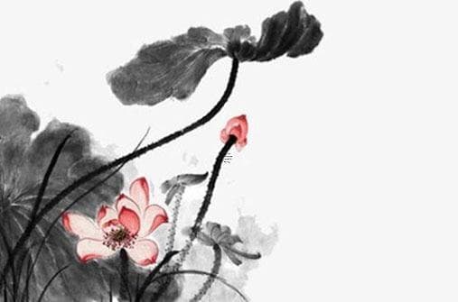 文殊菩萨的详细介绍与特征分析：智慧与学问的象征