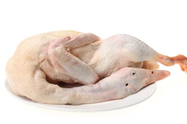 鹅肉适合小孩子食用吗？这份指南请收好