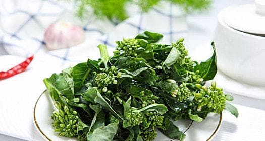 芥兰和菜心（探究两种蔬菜的区别与共性）