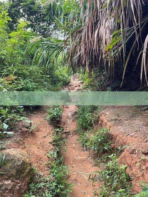探秘滇西之旅：从思茅直达大理的精品旅行路线推荐