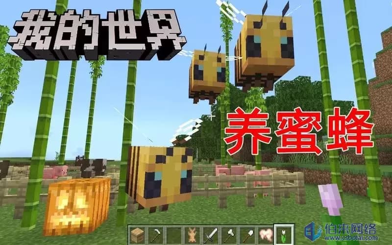 《我的世界》养蜂完全攻略：从基础养殖到实用用途详解