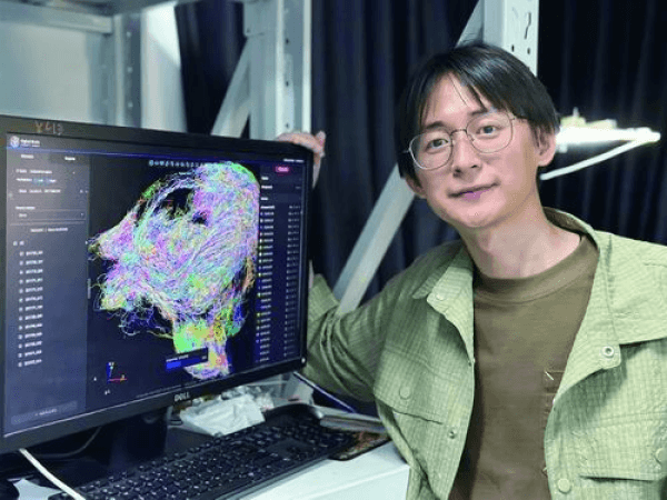 中国科学家为大脑海马区绘制三维立体"交通线路图"