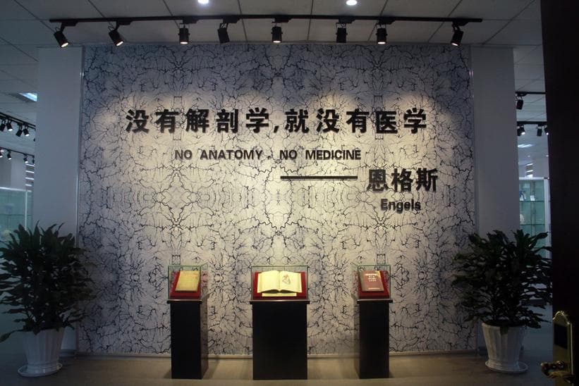 送别5位“大体老师” 感恩他们的另一种存在
