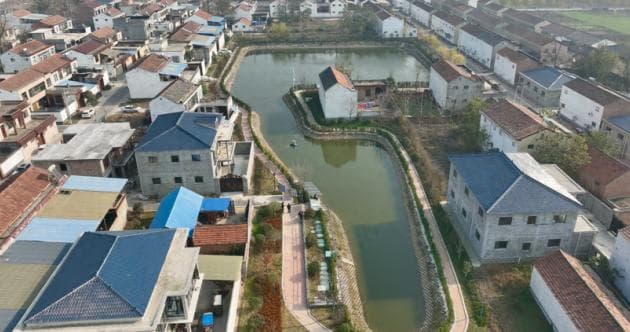 【治理黑臭水体 建设生态周口】郸城：众手治塘 福泽一方