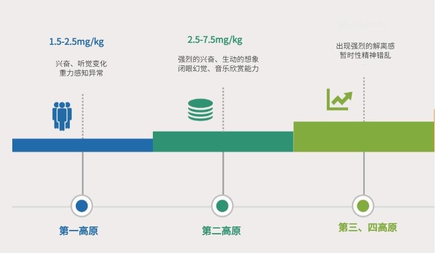 镇咳药如何选择？|今日学药