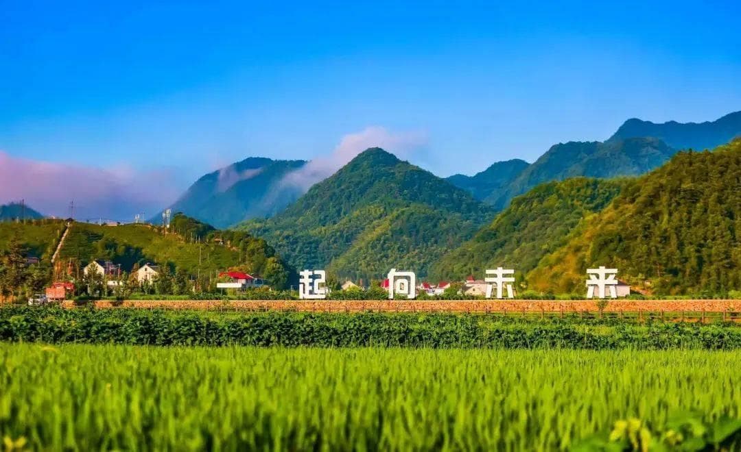 农村合作社在乡村振兴中的作用