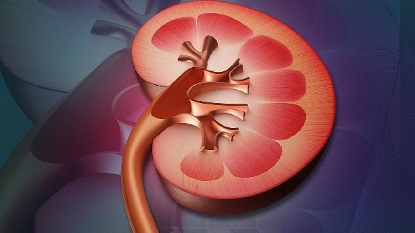 狼疮性肾炎的治疗与管理：从药物到生活方式的全方位指南