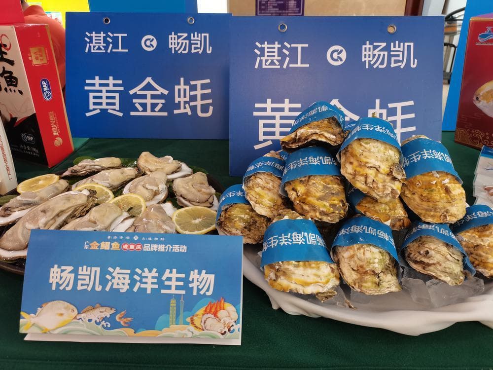 现代化海洋牧场加持，广东争办“蚝”门盛宴