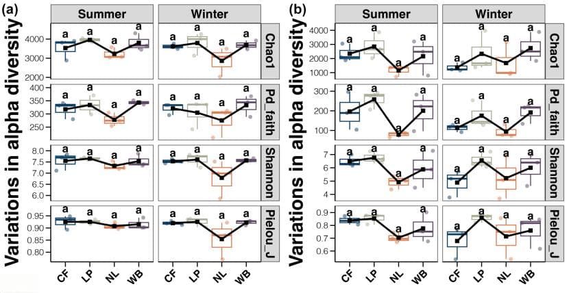 双因素研究：湿地类型与季节对微塑料生物膜的影响