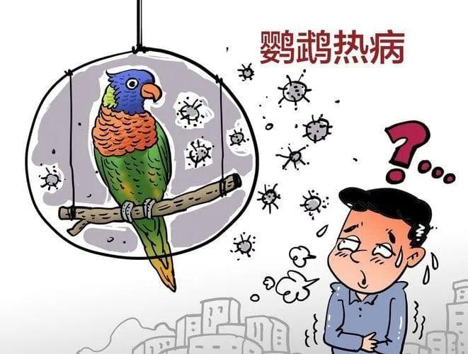 养鹦鹉养出重症肺炎？——1例非典型病原菌的治疗