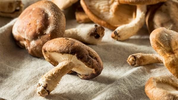 干香菇怎么快速泡开？这些方法让你事半功倍