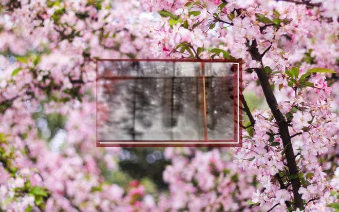 中国最浪漫的节日——古诗词里的花朝节，以花之约，共赴春日盛宴