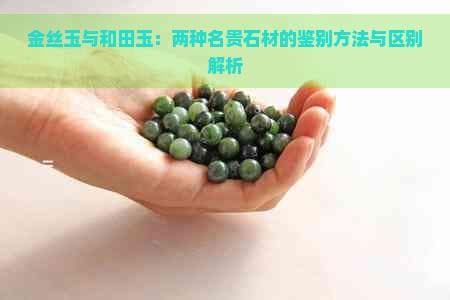 金丝玉和和田玉的区别：从成分到收藏价值的全面解析