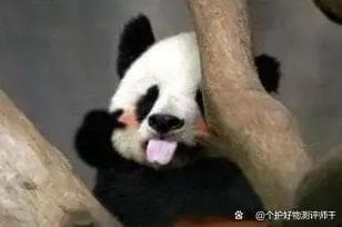 护发精油有没有用？护发精油选购方法是什么？