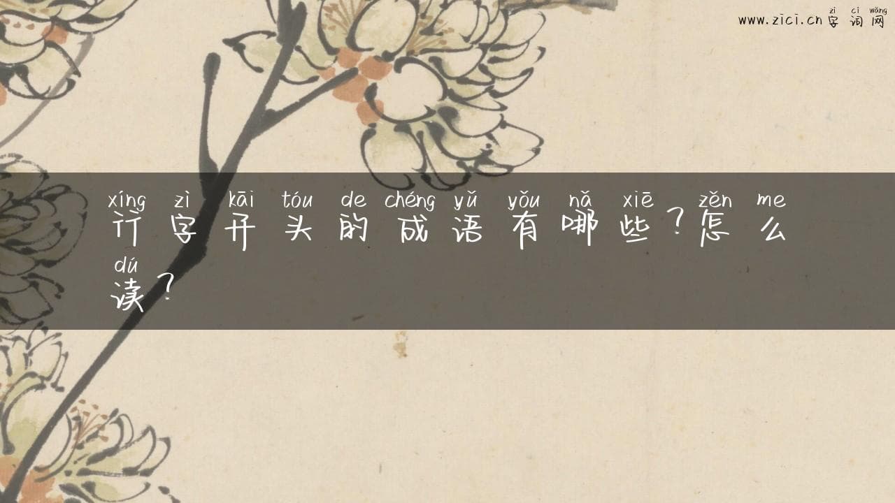 行字开头的成语有哪些？怎么读？