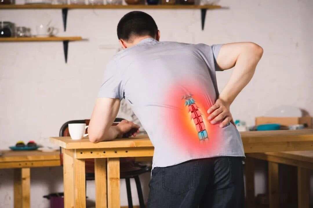 中国慢性腰背痛诊疗指南（2024版）诊断和治疗方案一览